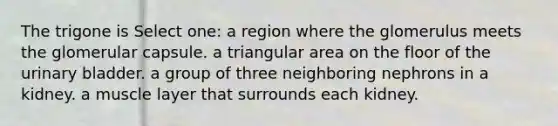 The trigone is Select one: a region where the glomerulus meets the glomerular capsule. a triangular area on the floor of the urinary bladder. a group of three neighboring nephrons in a kidney. a muscle layer that surrounds each kidney.