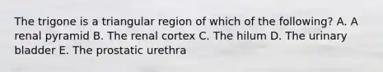 The trigone is a triangular region of which of the following? A. A renal pyramid B. The renal cortex C. The hilum D. The urinary bladder E. The prostatic urethra