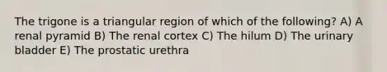 The trigone is a triangular region of which of the following? A) A renal pyramid B) The renal cortex C) The hilum D) The <a href='https://www.questionai.com/knowledge/kb9SdfFdD9-urinary-bladder' class='anchor-knowledge'>urinary bladder</a> E) The prostatic urethra