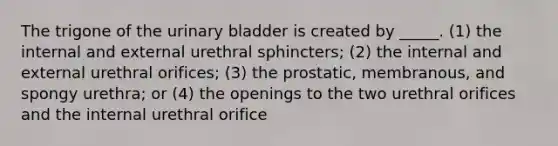 The trigone of the <a href='https://www.questionai.com/knowledge/kb9SdfFdD9-urinary-bladder' class='anchor-knowledge'>urinary bladder</a> is created by _____. (1) the internal and external urethral sphincters; (2) the internal and external urethral orifices; (3) the prostatic, membranous, and spongy urethra; or (4) the openings to the two urethral orifices and the internal urethral orifice