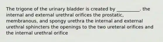 The trigone of the <a href='https://www.questionai.com/knowledge/kb9SdfFdD9-urinary-bladder' class='anchor-knowledge'>urinary bladder</a> is created by __________. the internal and external urethral orifices the prostatic, membranous, and spongy urethra the internal and external urethral sphincters the openings to the two ureteral orifices and the internal urethral orifice