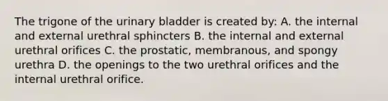 The trigone of the urinary bladder is created by: A. the internal and external urethral sphincters B. the internal and external urethral orifices C. the prostatic, membranous, and spongy urethra D. the openings to the two urethral orifices and the internal urethral orifice.