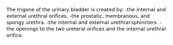 The trigone of the <a href='https://www.questionai.com/knowledge/kb9SdfFdD9-urinary-bladder' class='anchor-knowledge'>urinary bladder</a> is created by: -the internal and external urethral orifices. -the prostatic, membranous, and spongy urethra. -the internal and external urethral sphincters. -the openings to the two ureteral orifices and the internal urethral orifice.