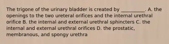 The trigone of the urinary bladder is created by __________. A. the openings to the two ureteral orifices and the internal urethral orifice B. the internal and external urethral sphincters C. the internal and external urethral orifices D. the prostatic, membranous, and spongy urethra