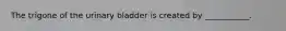 The trigone of the urinary bladder is created by ___________.