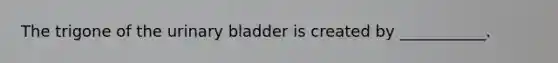 The trigone of the urinary bladder is created by ___________.