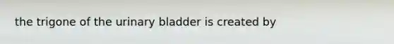 the trigone of the urinary bladder is created by