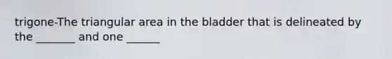 trigone-The triangular area in the bladder that is delineated by the _______ and one ______