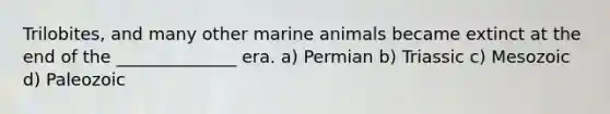 Trilobites, and many other marine animals became extinct at the end of the ______________ era. a) Permian b) Triassic c) Mesozoic d) Paleozoic