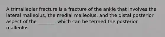 A trimalleolar fracture is a fracture of the ankle that involves the lateral malleolus, the medial malleolus, and the distal posterior aspect of the _______, which can be termed the posterior malleolus