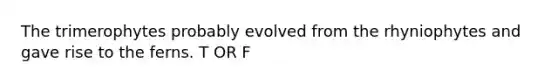 The trimerophytes probably evolved from the rhyniophytes and gave rise to the ferns. T OR F