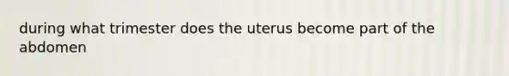 during what trimester does the uterus become part of the abdomen