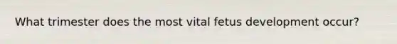 What trimester does the most vital fetus development occur?