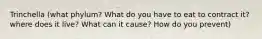 Trinchella (what phylum? What do you have to eat to contract it? where does it live? What can it cause? How do you prevent)