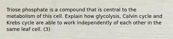 Triose phosphate is a compound that is central to the metabolism of this cell. Explain how glycolysis, Calvin cycle and Krebs cycle are able to work independently of each other in the same leaf cell. (3)