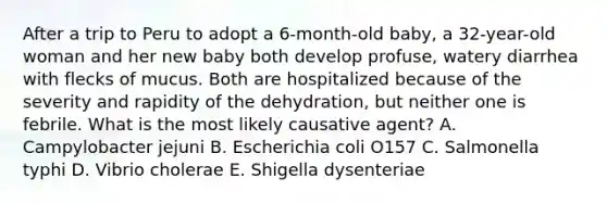 After a trip to Peru to adopt a 6-month-old baby, a 32-year-old woman and her new baby both develop profuse, watery diarrhea with flecks of mucus. Both are hospitalized because of the severity and rapidity of the dehydration, but neither one is febrile. What is the most likely causative agent? A. Campylobacter jejuni B. Escherichia coli O157 C. Salmonella typhi D. Vibrio cholerae E. Shigella dysenteriae