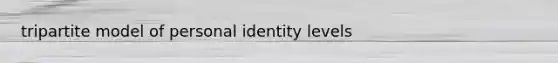 tripartite model of personal identity levels