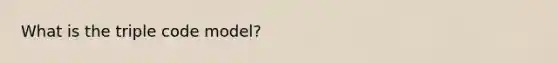 What is the triple code model?