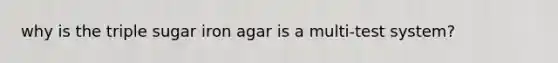 why is the triple sugar iron agar is a multi-test system?