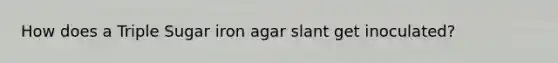 How does a Triple Sugar iron agar slant get inoculated?