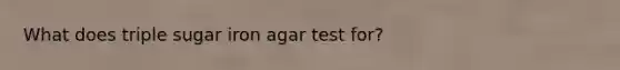 What does triple sugar iron agar test for?