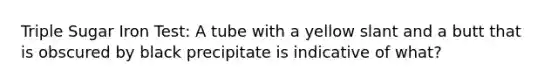 Triple Sugar Iron Test: A tube with a yellow slant and a butt that is obscured by black precipitate is indicative of what?