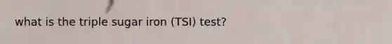 what is the triple sugar iron (TSI) test?