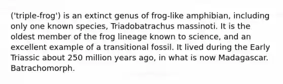 ('triple-frog') is an extinct genus of frog-like amphibian, including only one known species, Triadobatrachus massinoti. It is the oldest member of the frog lineage known to science, and an excellent example of a transitional fossil. It lived during the Early Triassic about 250 million years ago, in what is now Madagascar. Batrachomorph.