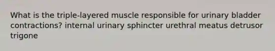 What is the triple-layered muscle responsible for urinary bladder contractions? internal urinary sphincter urethral meatus detrusor trigone