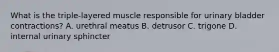 What is the triple-layered muscle responsible for urinary bladder contractions? A. urethral meatus B. detrusor C. trigone D. internal urinary sphincter