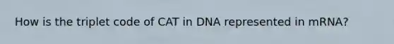 How is the triplet code of CAT in DNA represented in mRNA?