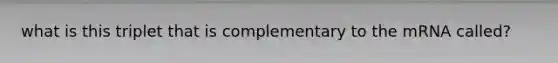 what is this triplet that is complementary to the mRNA called?