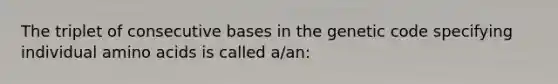 The triplet of consecutive bases in the genetic code specifying individual amino acids is called a/an: