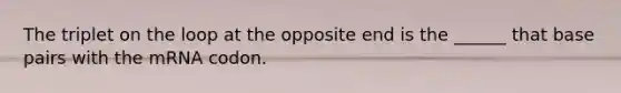 The triplet on the loop at the opposite end is the ______ that base pairs with the mRNA codon.