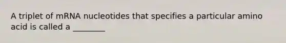 A triplet of mRNA nucleotides that specifies a particular amino acid is called a ________