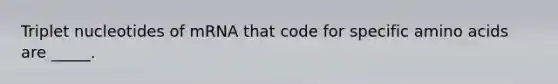 Triplet nucleotides of mRNA that code for specific <a href='https://www.questionai.com/knowledge/k9gb720LCl-amino-acids' class='anchor-knowledge'>amino acids</a> are _____.