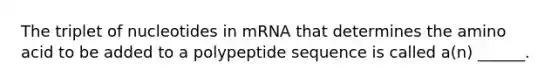 The triplet of nucleotides in mRNA that determines the amino acid to be added to a polypeptide sequence is called a(n) ______.