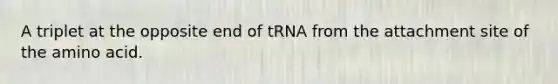 A triplet at the opposite end of tRNA from the attachment site of the amino acid.