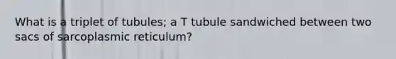 What is a triplet of tubules; a T tubule sandwiched between two sacs of sarcoplasmic reticulum?