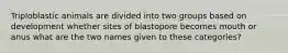 Triploblastic animals are divided into two groups based on development whether sites of blastopore becomes mouth or anus what are the two names given to these categories?