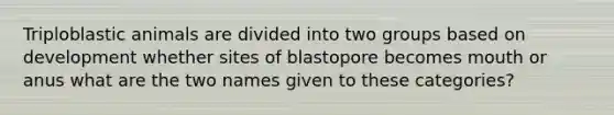 Triploblastic animals are divided into two groups based on development whether sites of blastopore becomes mouth or anus what are the two names given to these categories?