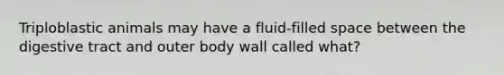 Triploblastic animals may have a fluid-filled space between the digestive tract and outer body wall called what?