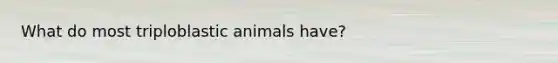 What do most triploblastic animals have?