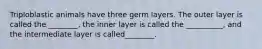 Triploblastic animals have three germ layers. The outer layer is called the ________, the inner layer is called the __________, and the intermediate layer is called________.