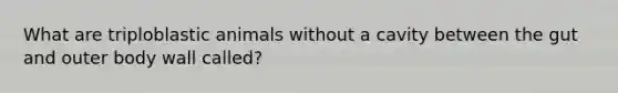 What are triploblastic animals without a cavity between the gut and outer body wall called?