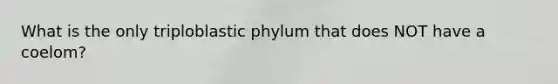 What is the only triploblastic phylum that does NOT have a coelom?