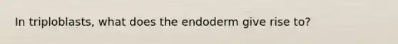 In triploblasts, what does the endoderm give rise to?