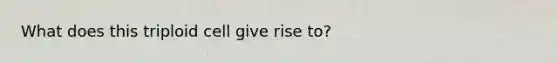 What does this triploid cell give rise to?