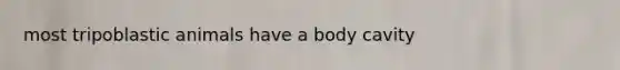 most tripoblastic animals have a body cavity