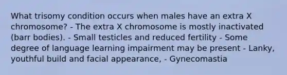 What trisomy condition occurs when males have an extra X chromosome? - The extra X chromosome is mostly inactivated (barr bodies). - Small testicles and reduced fertility - Some degree of language learning impairment may be present - Lanky, youthful build and facial appearance, - Gynecomastia